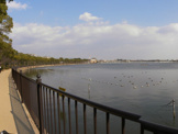 公園 瑞ケ池公園