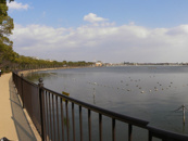 瑞ケ池公園