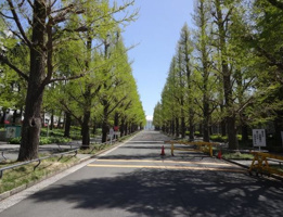 慶應義塾大学 日吉キャンパス