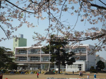結城市立 城南小学校