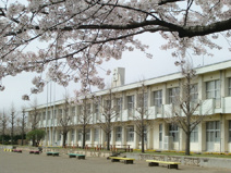 結城市立 結城西小学校