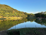 土池公園