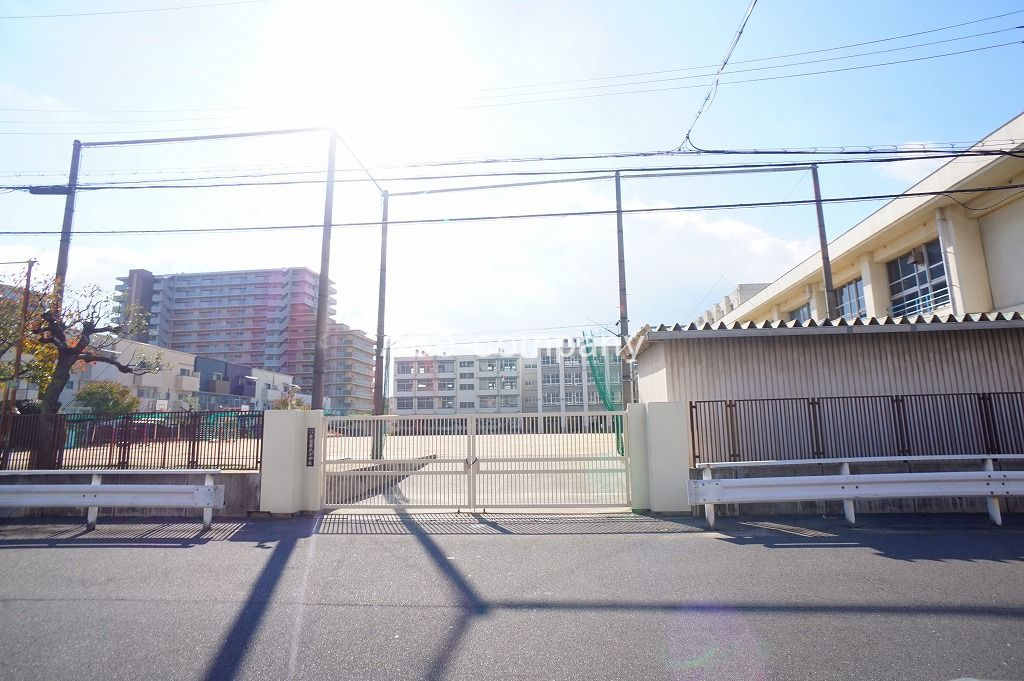 の画像