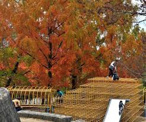 皇子が丘公園