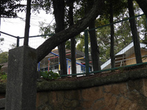 認定こども園あおばと