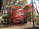 三王山公園
