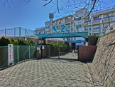 横浜市立 権太坂小学校