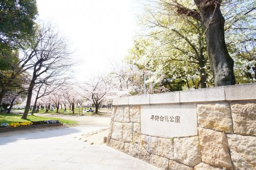 の画像