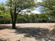 成増北第一公園の画像