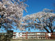 日立市立 宮田小学校の画像