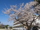 日立市立大沼小学校の画像