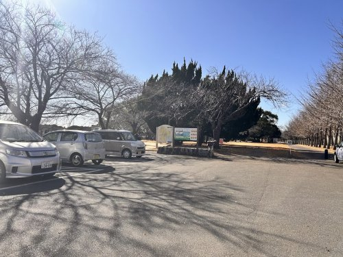 乙戸沼公園の画像