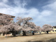 土浦市立真鍋小学校の画像
