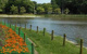 つくば市立洞峰公園の画像
