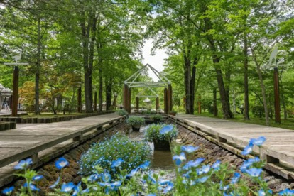 軽井沢タリアセンの画像2