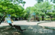 小平市立中央公園の画像