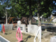 鶴形山公園の画像