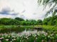 四季の里公園の画像