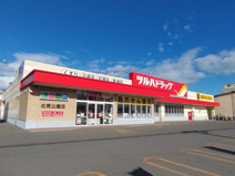 ツルハドラッグ 北見公園店