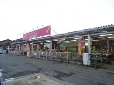 ホームセンターカンセキ 大平店の画像1