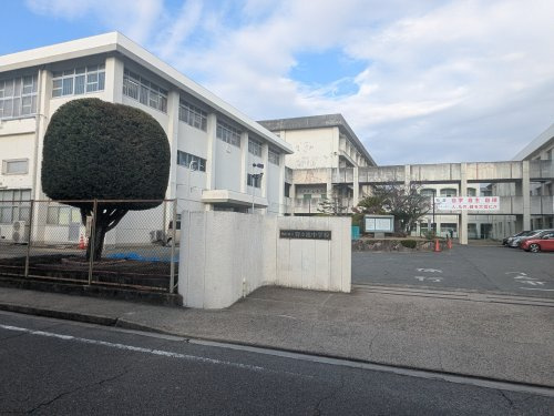 の画像