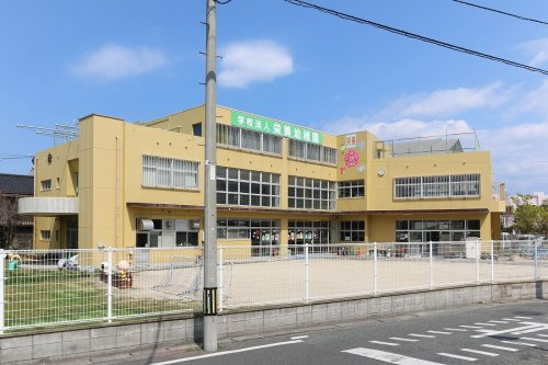 の画像
