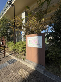 笄児童遊園の画像1