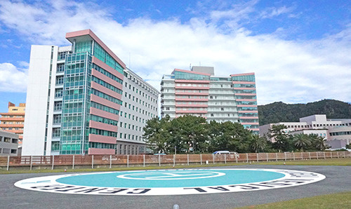 の画像