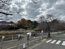 岸根公園