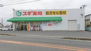 の画像