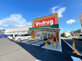 V･drug 葵千代田店