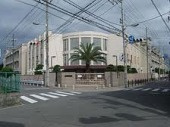 の画像
