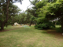 小和田浜公園