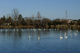 大塚池公園の画像