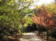 小木津山自然公園の画像