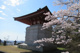 西山公園の画像