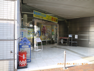 板橋区立教育科学館の画像2