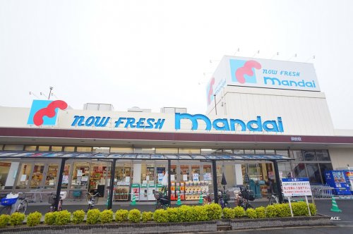 の画像