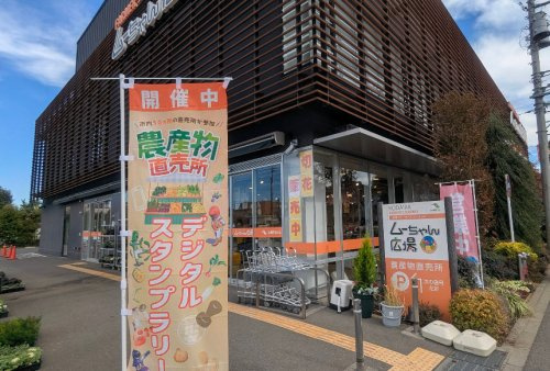 の画像