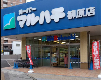 スーパーマルハチ 柳原店の画像1
