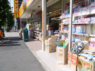 どらっぐぱぱす 王子神谷店の画像4