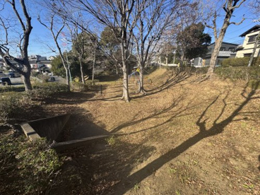 大林公園の画像2