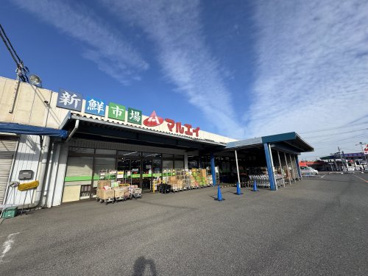 新鮮市場マルエイ 四辻店の画像1