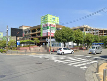 アットアツギトレリス