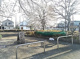 さくら公園の画像