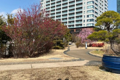 目黒天空庭園の画像1