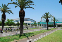 鵠沼運動公園