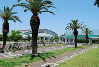 鵠沼運動公園の画像1