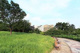 代官山公園の画像