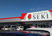 ドラッグストア セキ 瀬崎店
